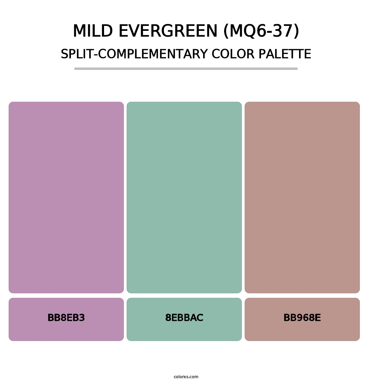 Mild Evergreen (MQ6-37) - Split-Complementary Color Palette