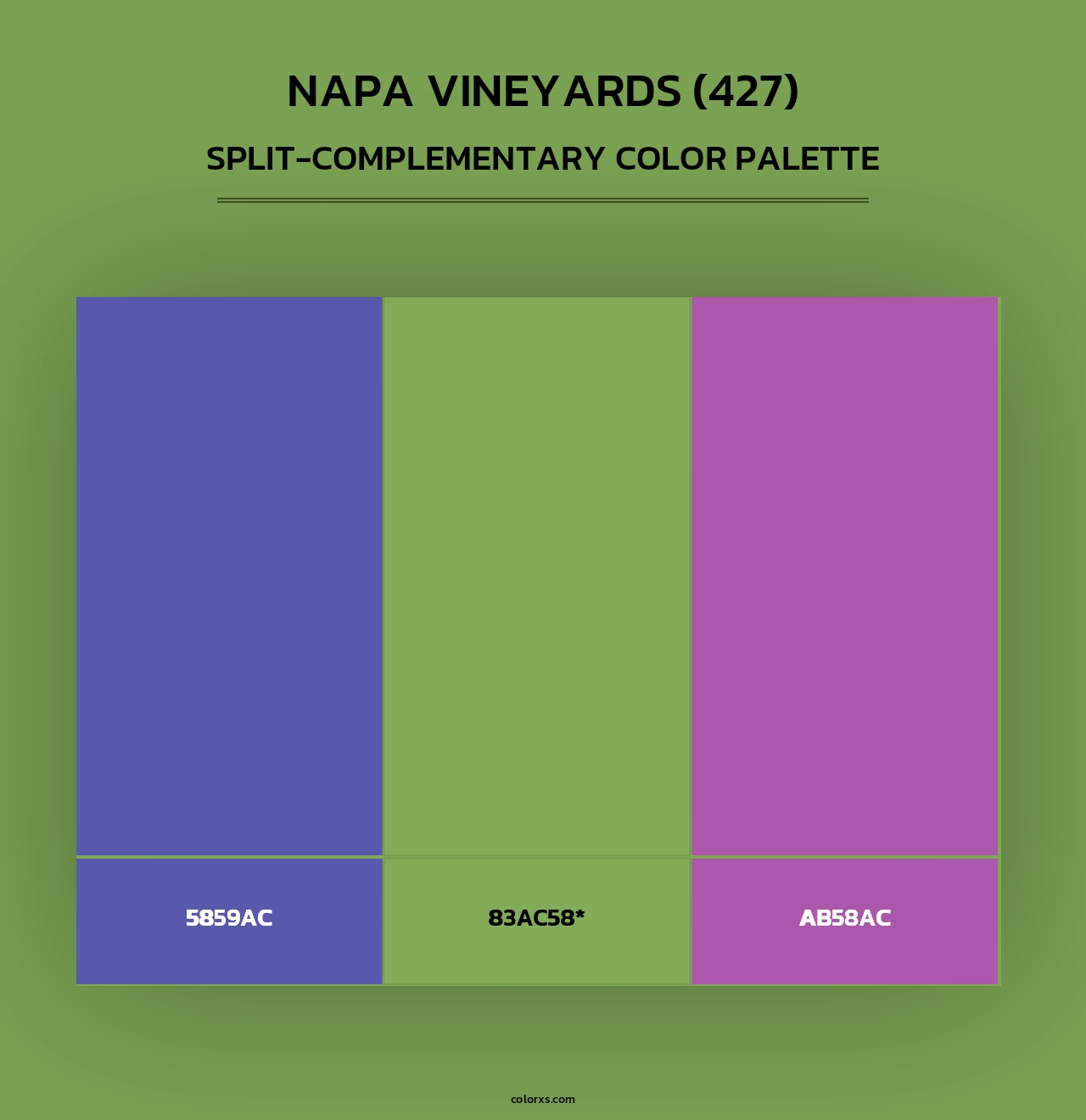 Napa Vineyards (427) - Split-Complementary Color Palette