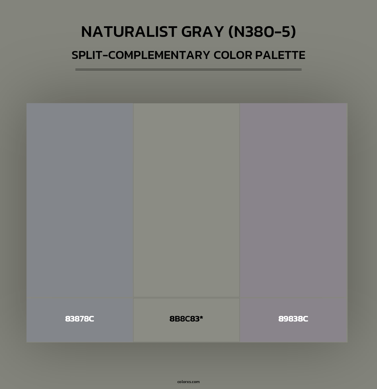 Naturalist Gray (N380-5) - Split-Complementary Color Palette