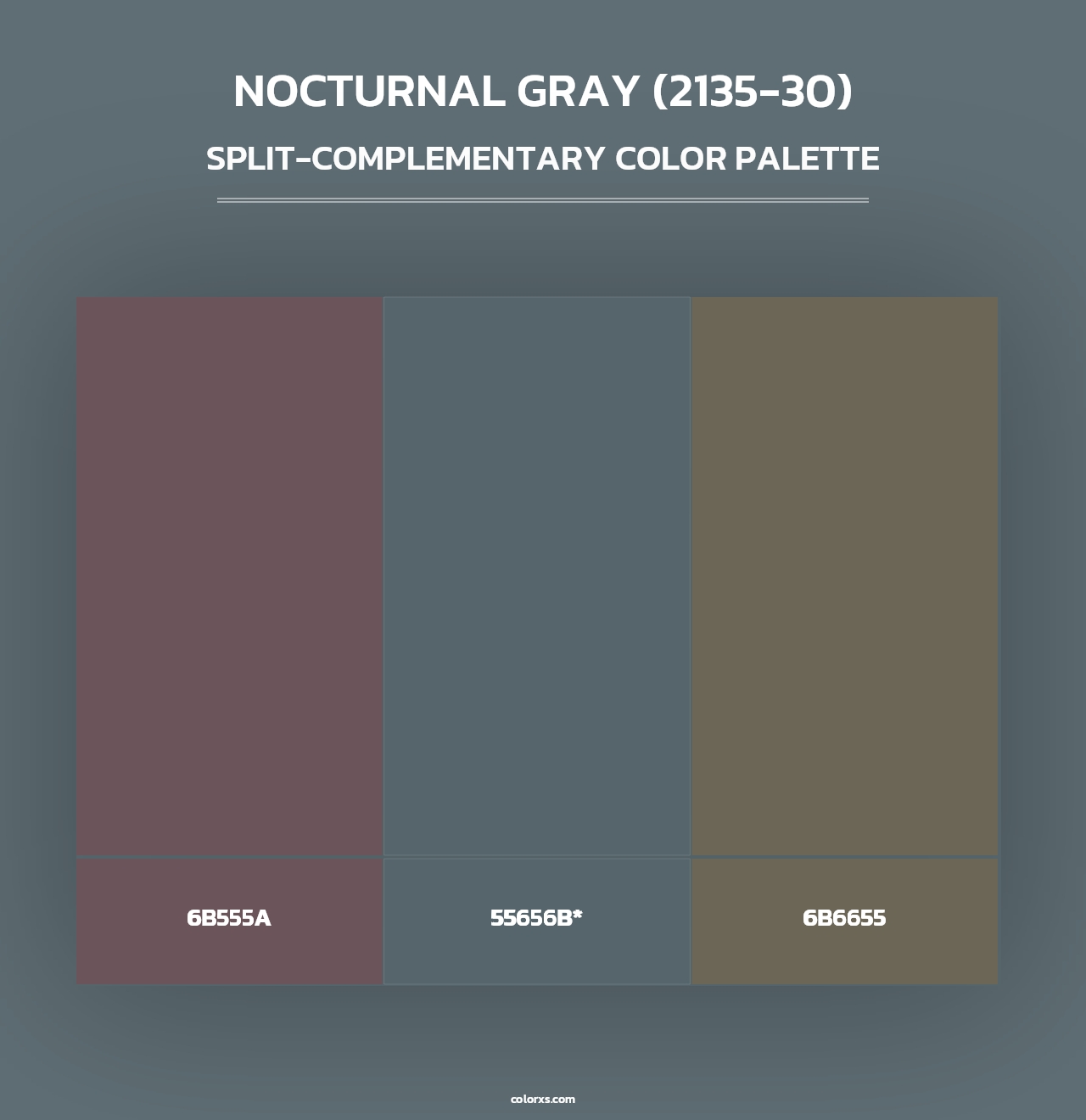Nocturnal Gray (2135-30) - Split-Complementary Color Palette