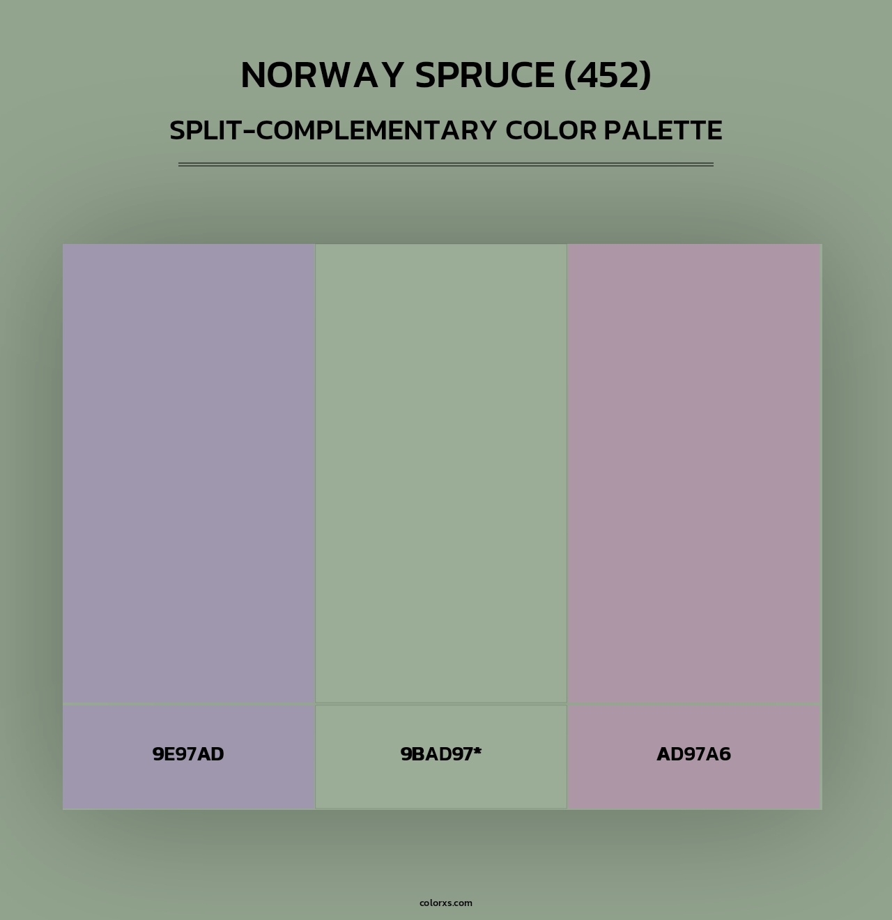 Norway Spruce (452) - Split-Complementary Color Palette
