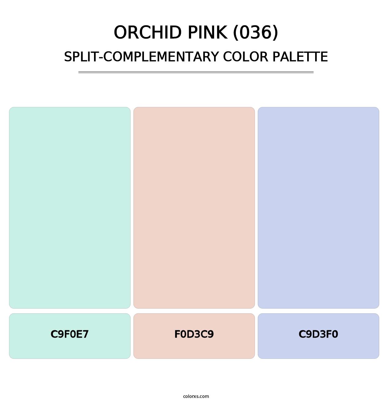 Orchid Pink (036) - Split-Complementary Color Palette