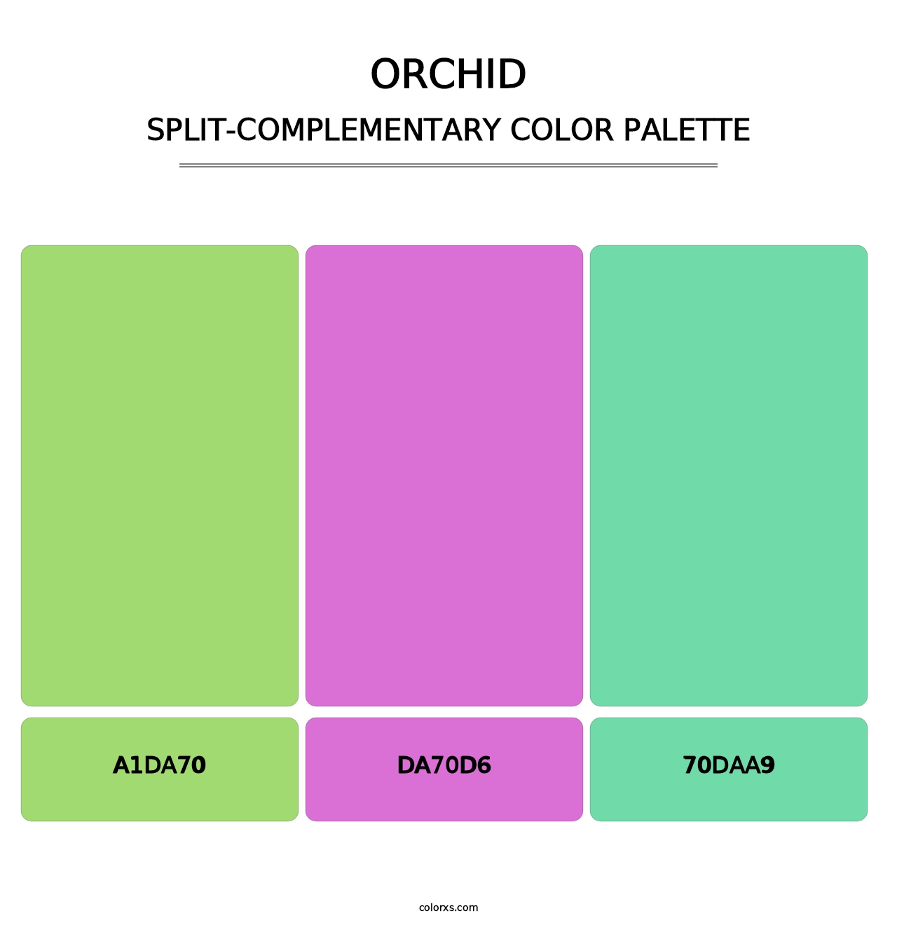 Orchid - Split-Complementary Color Palette