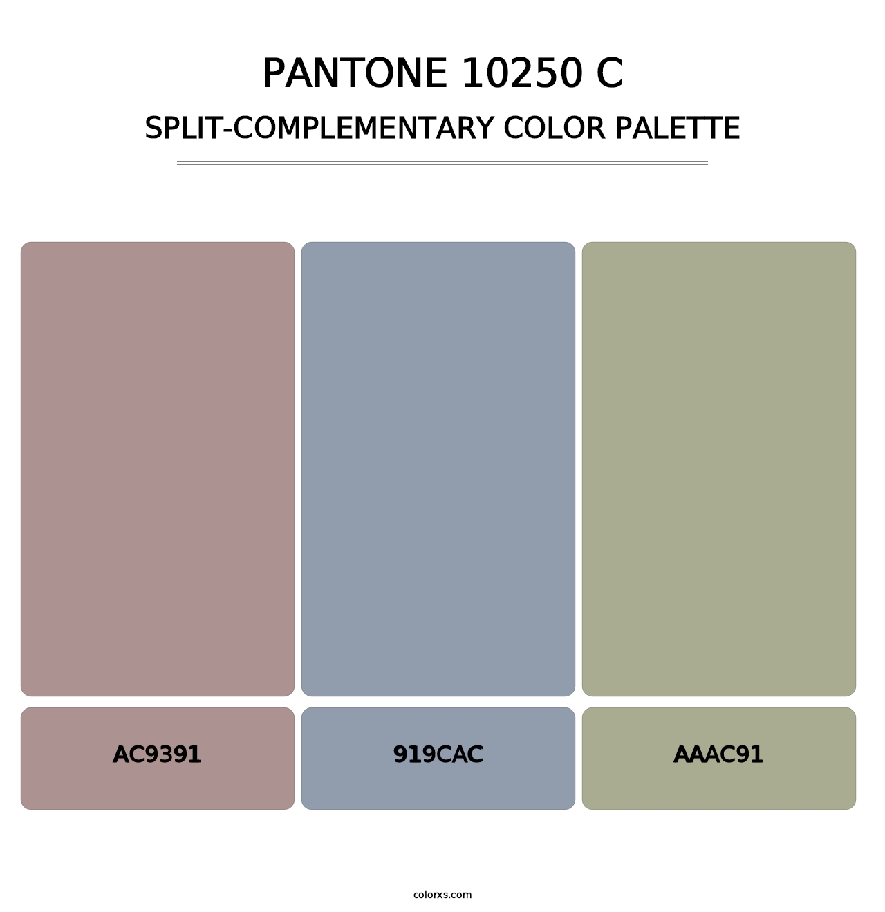 PANTONE 10250 C - Split-Complementary Color Palette