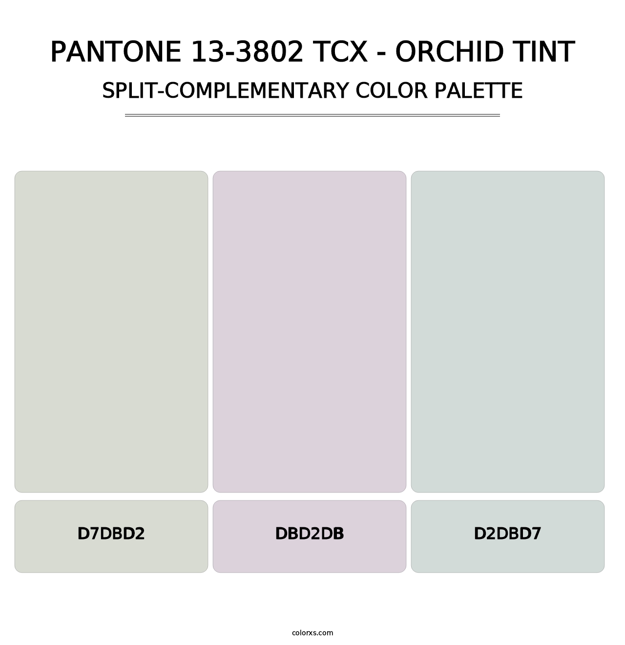 PANTONE 13-3802 TCX - Orchid Tint - Split-Complementary Color Palette