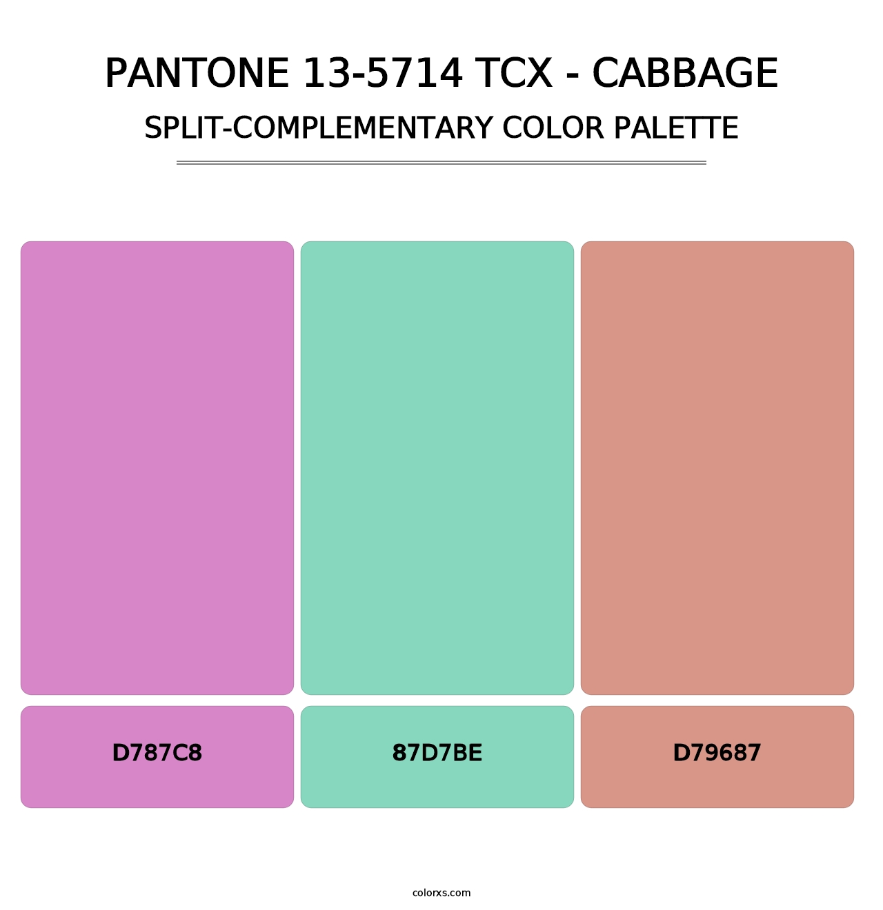 PANTONE 13-5714 TCX - Cabbage - Split-Complementary Color Palette