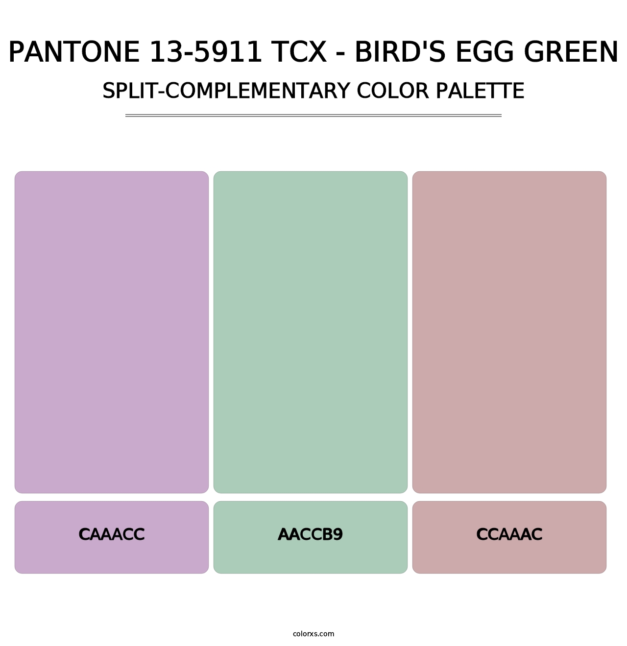 PANTONE 13-5911 TCX - Bird's Egg Green - Split-Complementary Color Palette