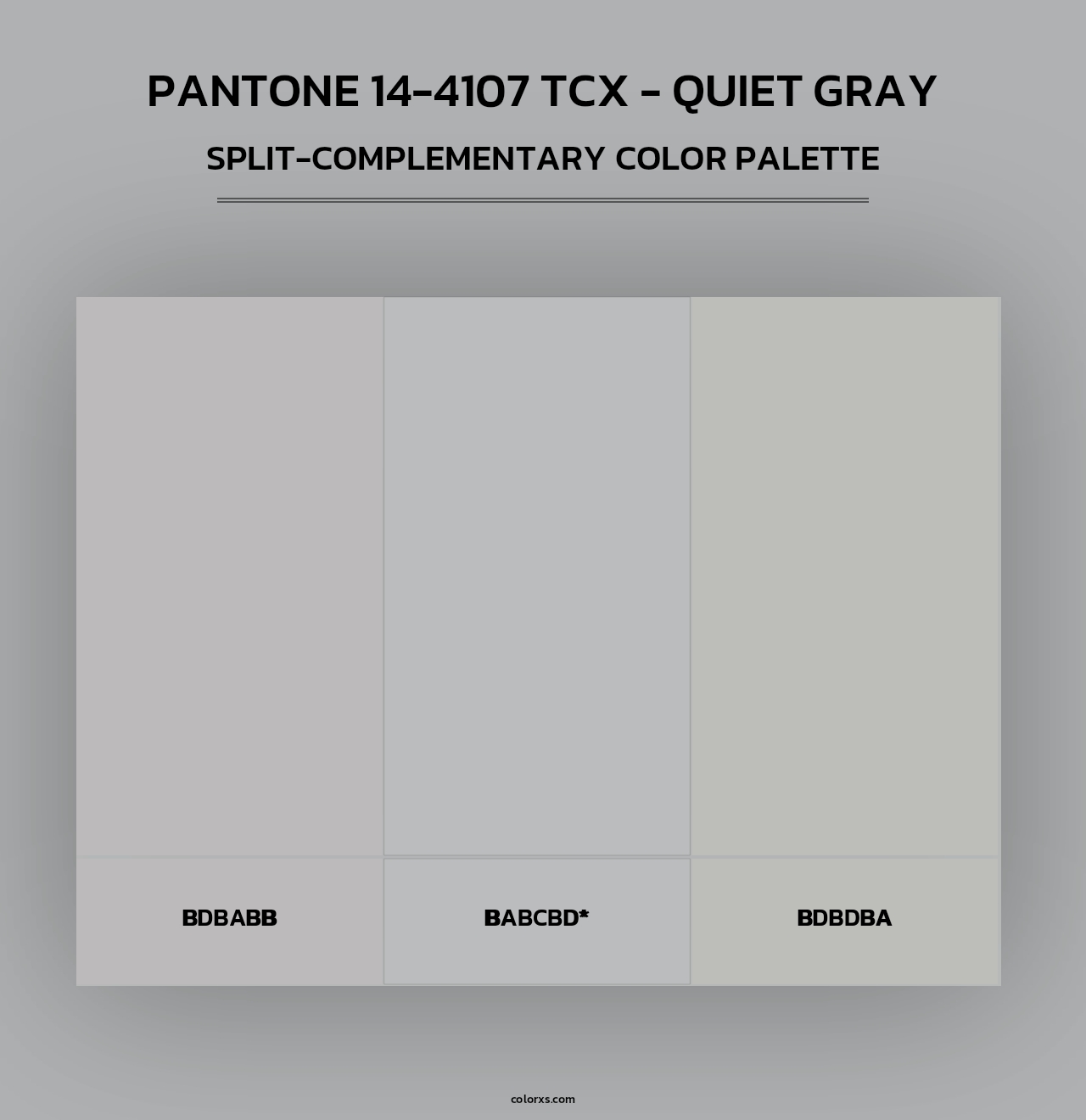 PANTONE 14-4107 TCX - Quiet Gray color palettes - colorxs.com