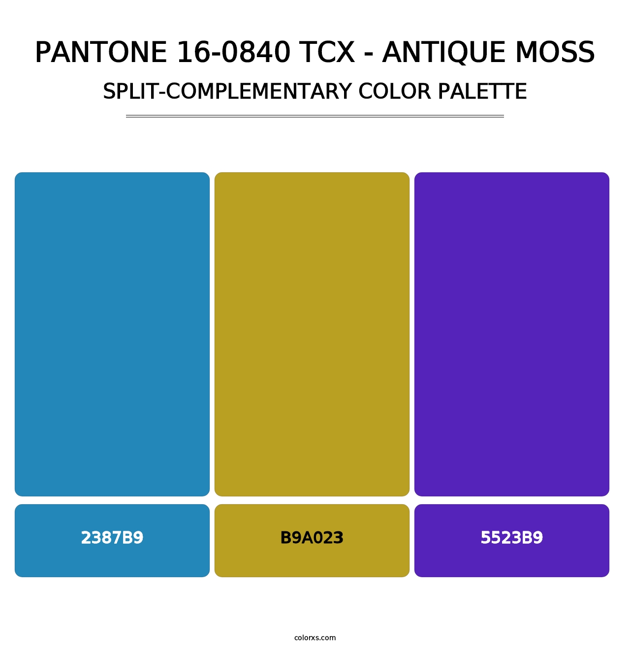 PANTONE 16-0840 TCX - Antique Moss - Split-Complementary Color Palette