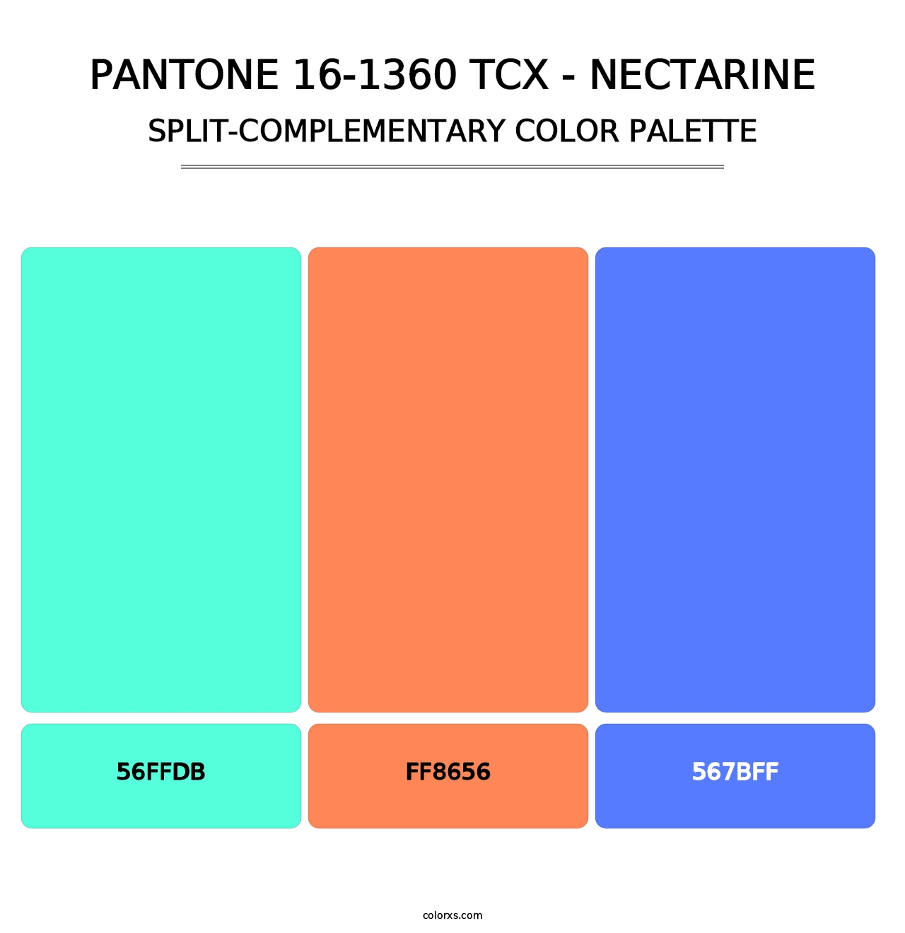 PANTONE 16-1360 TCX - Nectarine - Split-Complementary Color Palette