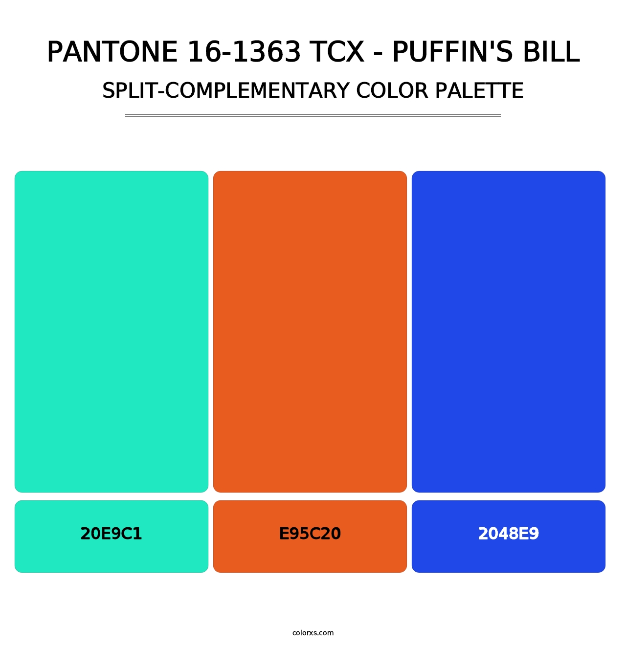 PANTONE 16-1363 TCX - Puffin's Bill - Split-Complementary Color Palette