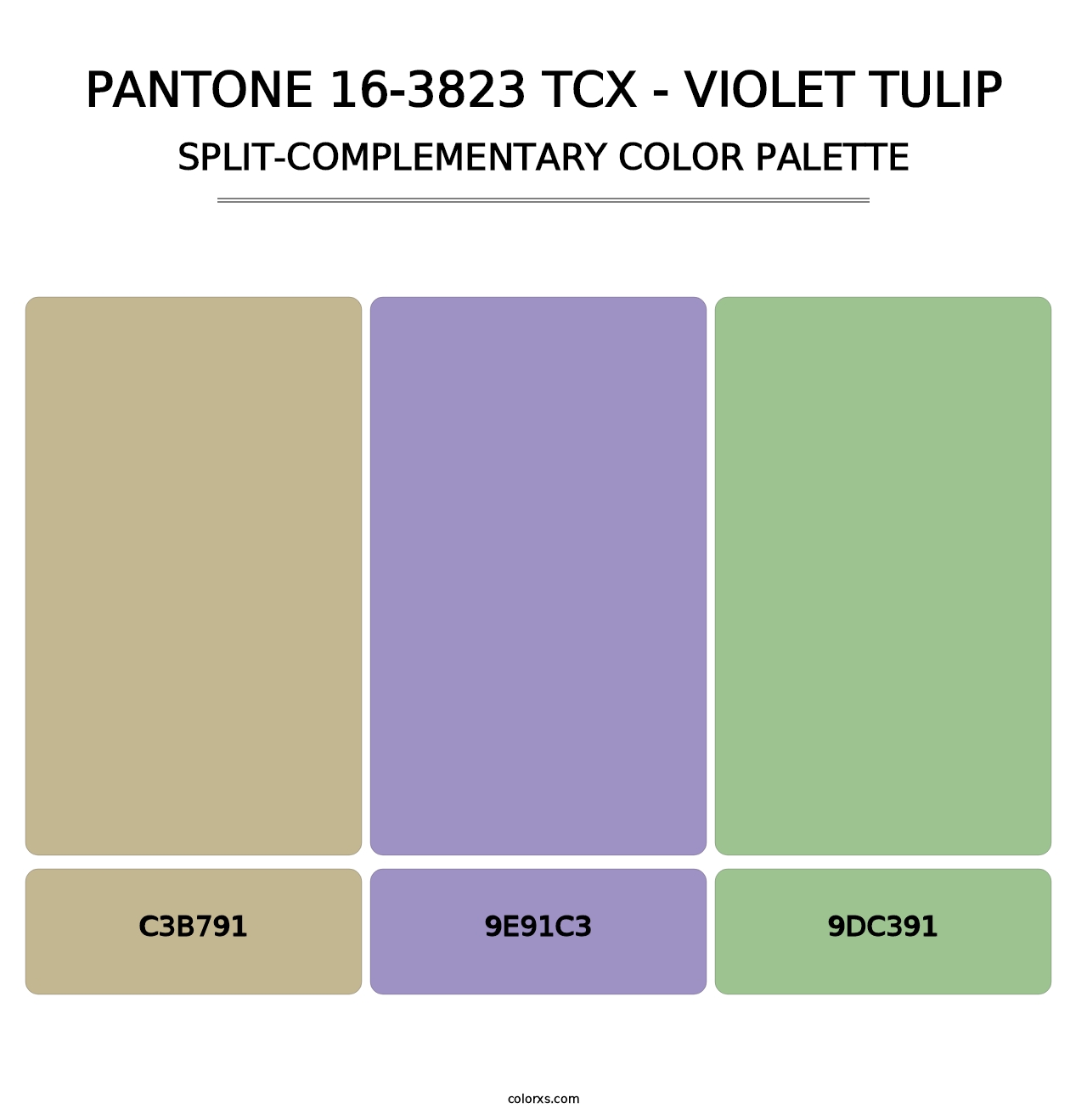 PANTONE 16-3823 TCX - Violet Tulip - Split-Complementary Color Palette