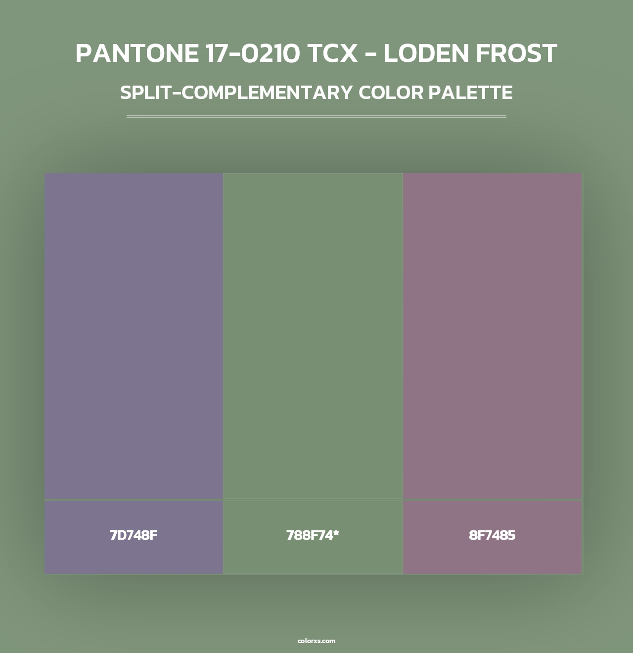 PANTONE 17-0210 TCX - Loden Frost - Split-Complementary Color Palette