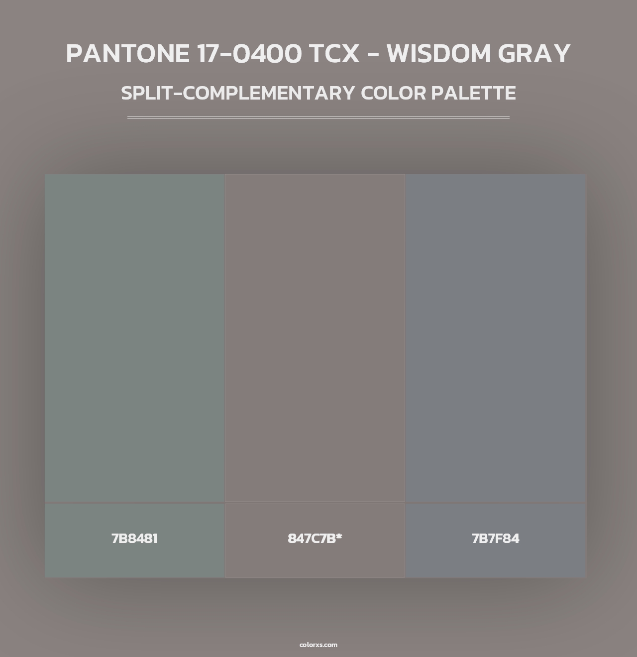 PANTONE 17-0400 TCX - Wisdom Gray - Split-Complementary Color Palette