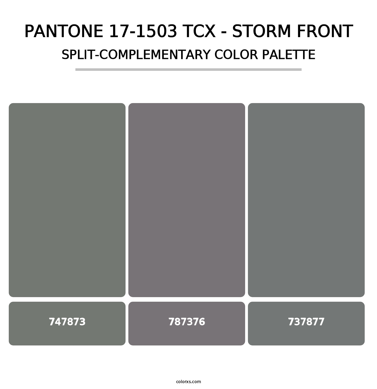 PANTONE 17-1503 TCX - Storm Front - Split-Complementary Color Palette