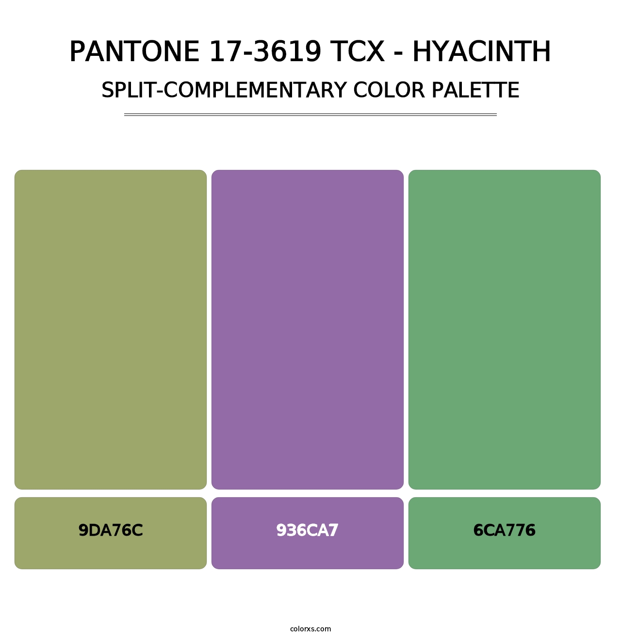 PANTONE 17-3619 TCX - Hyacinth - Split-Complementary Color Palette