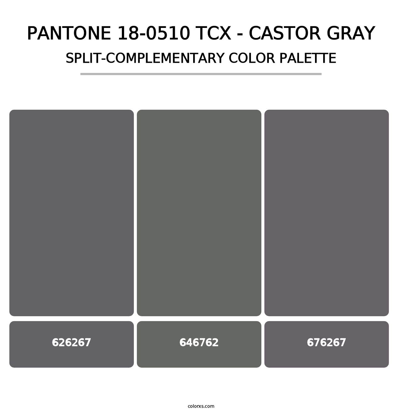 PANTONE 18-0510 TCX - Castor Gray - Split-Complementary Color Palette