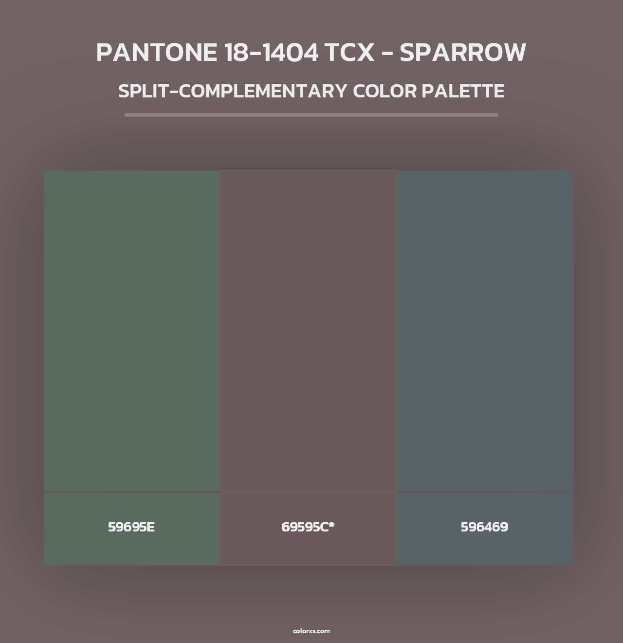PANTONE 18-1404 TCX - Sparrow - Split-Complementary Color Palette