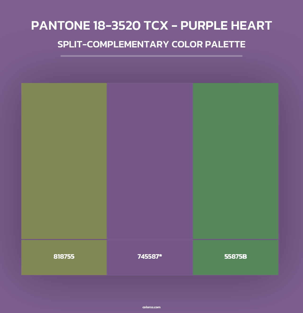 PANTONE 18-3520 TCX - Purple Heart color palettes - colorxs.com