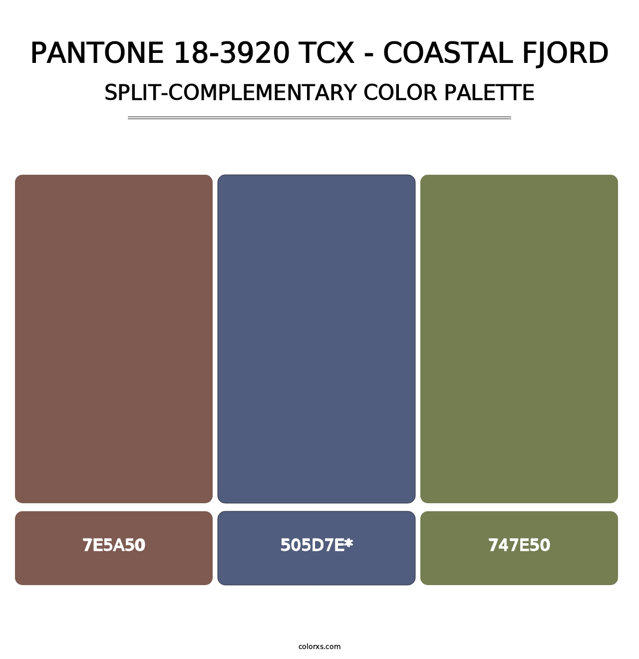 PANTONE 18-3920 TCX - Coastal Fjord - Split-Complementary Color Palette