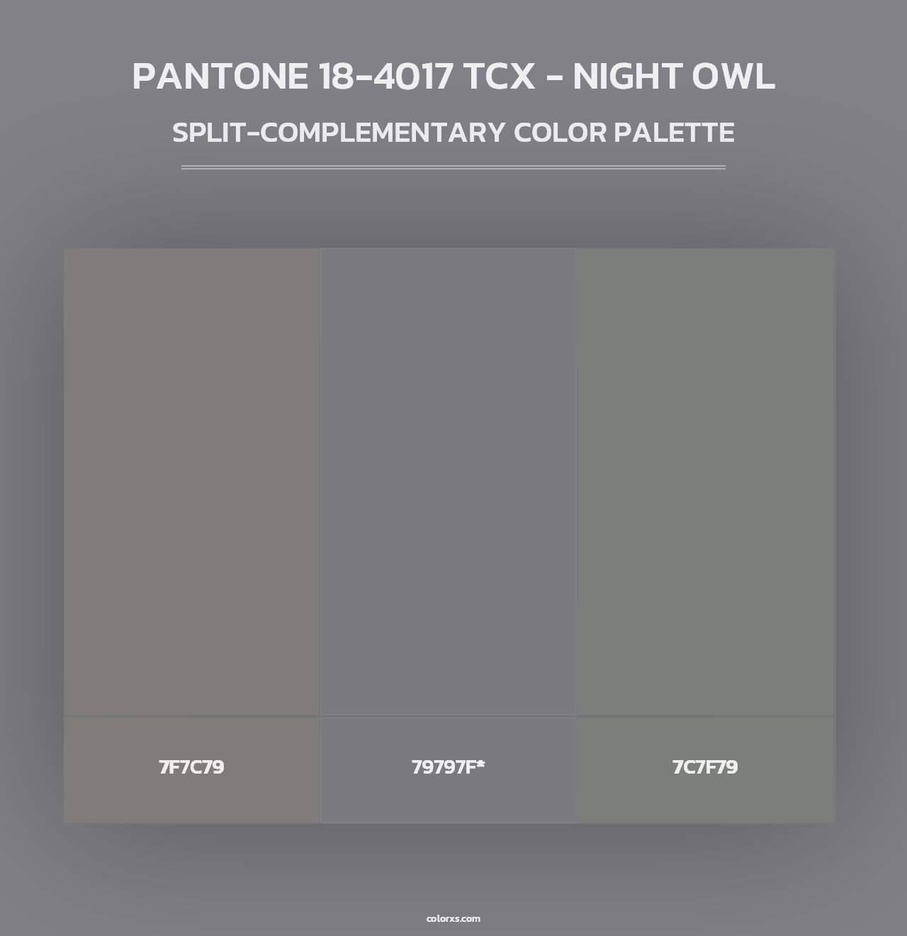 PANTONE 18-4017 TCX - Night Owl - Split-Complementary Color Palette