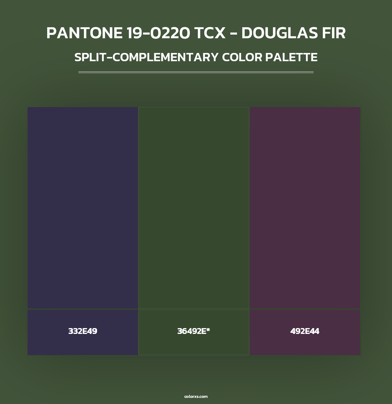 PANTONE 19-0220 TCX - Douglas Fir - Split-Complementary Color Palette