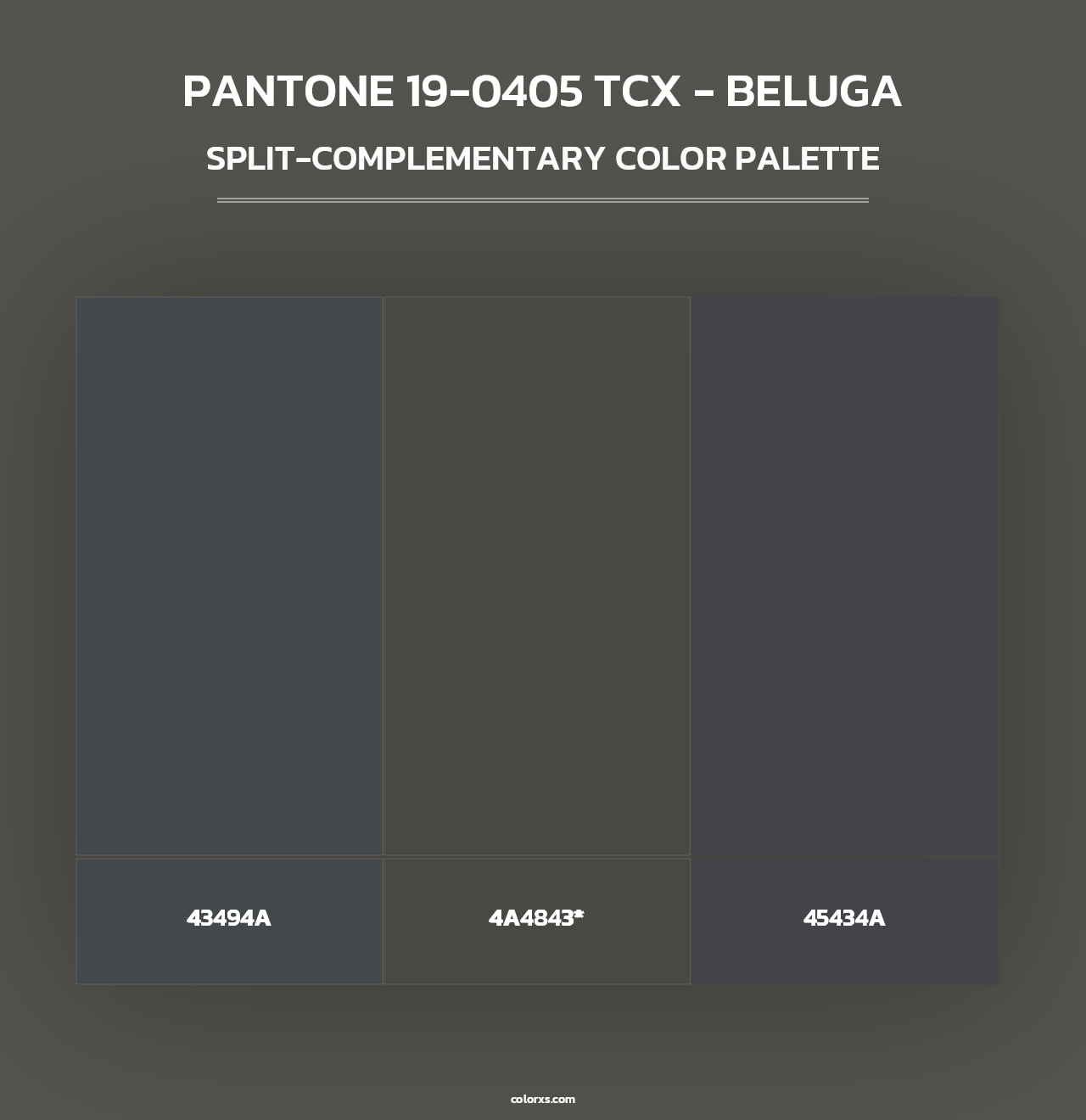 PANTONE 19-0405 TCX - Beluga - Split-Complementary Color Palette