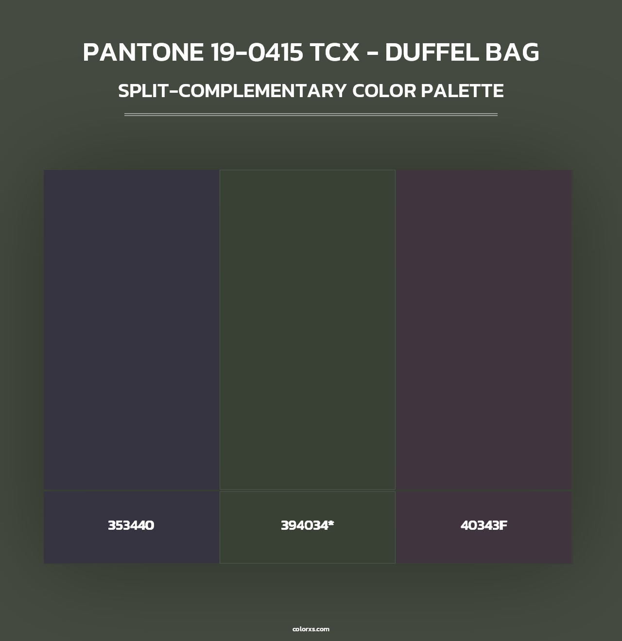 PANTONE 19-0415 TCX - Duffel Bag - Split-Complementary Color Palette