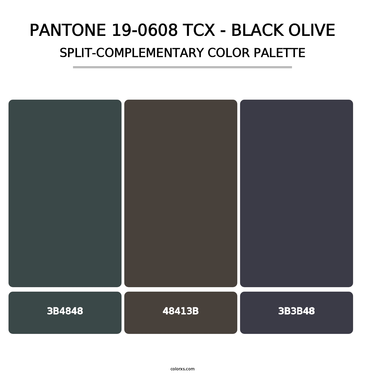 PANTONE 19-0608 TCX - Black Olive - Split-Complementary Color Palette