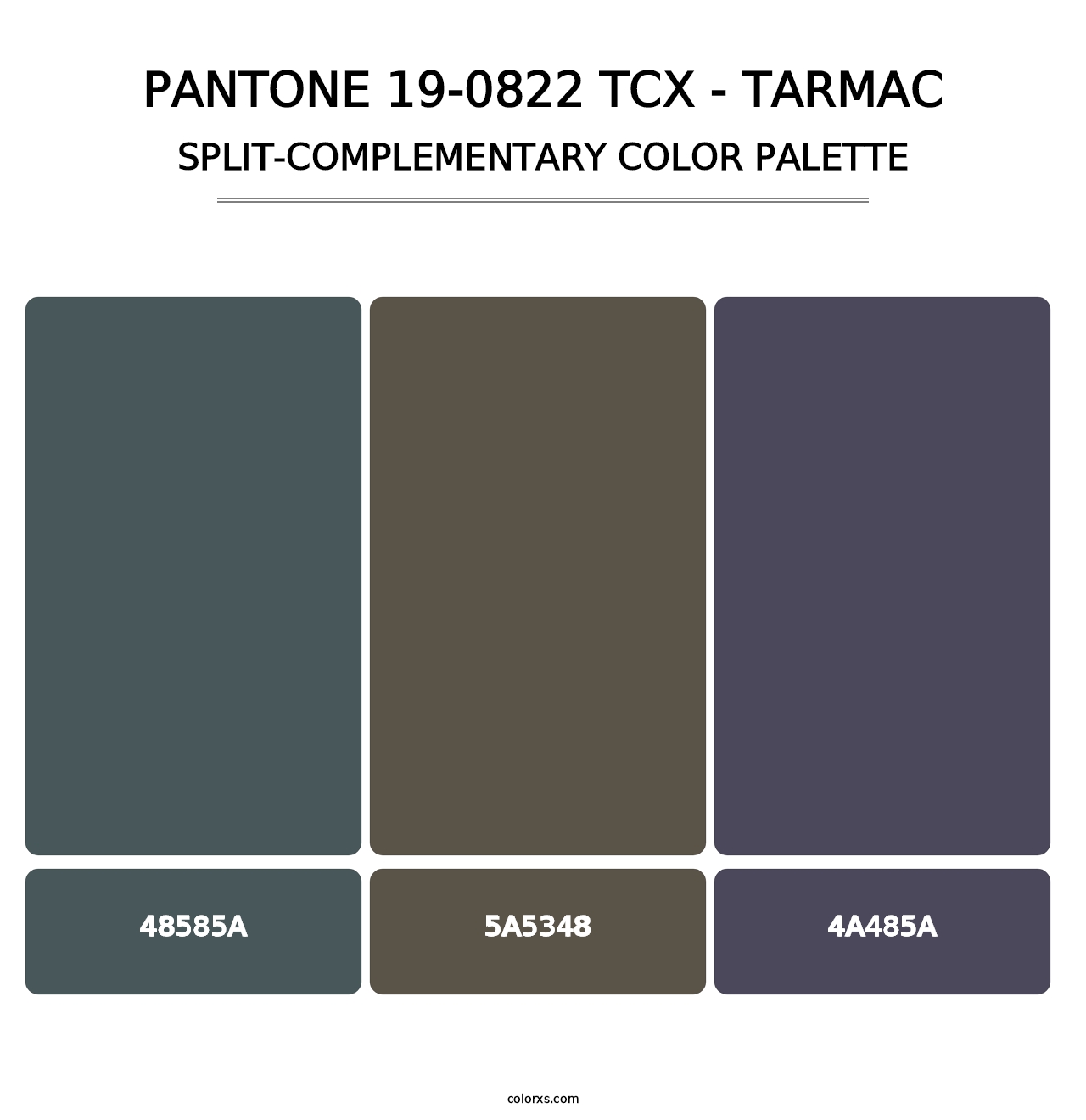 PANTONE 19-0822 TCX - Tarmac - Split-Complementary Color Palette