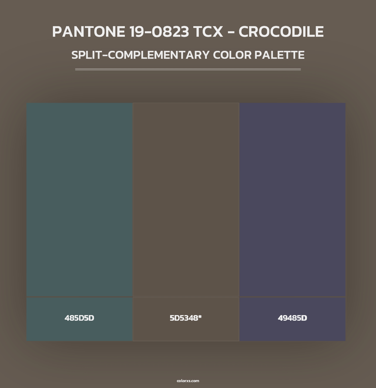 PANTONE 19-0823 TCX - Crocodile - Split-Complementary Color Palette