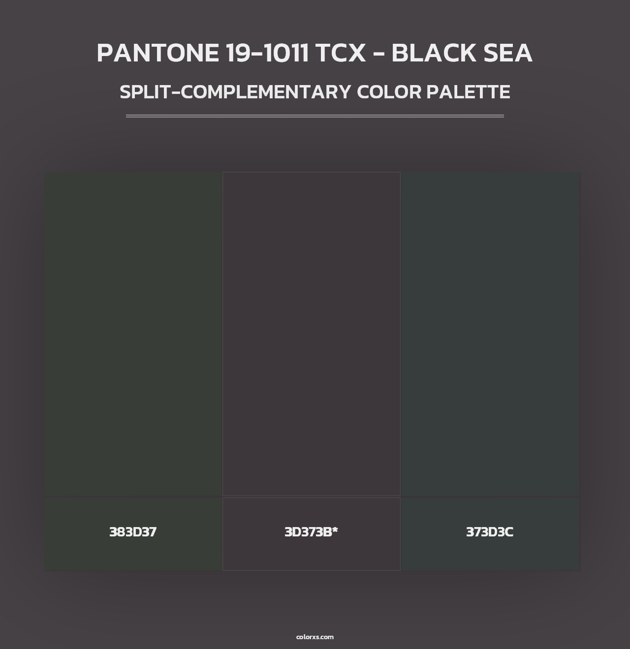 PANTONE 19-1011 TCX - Black Sea - Split-Complementary Color Palette