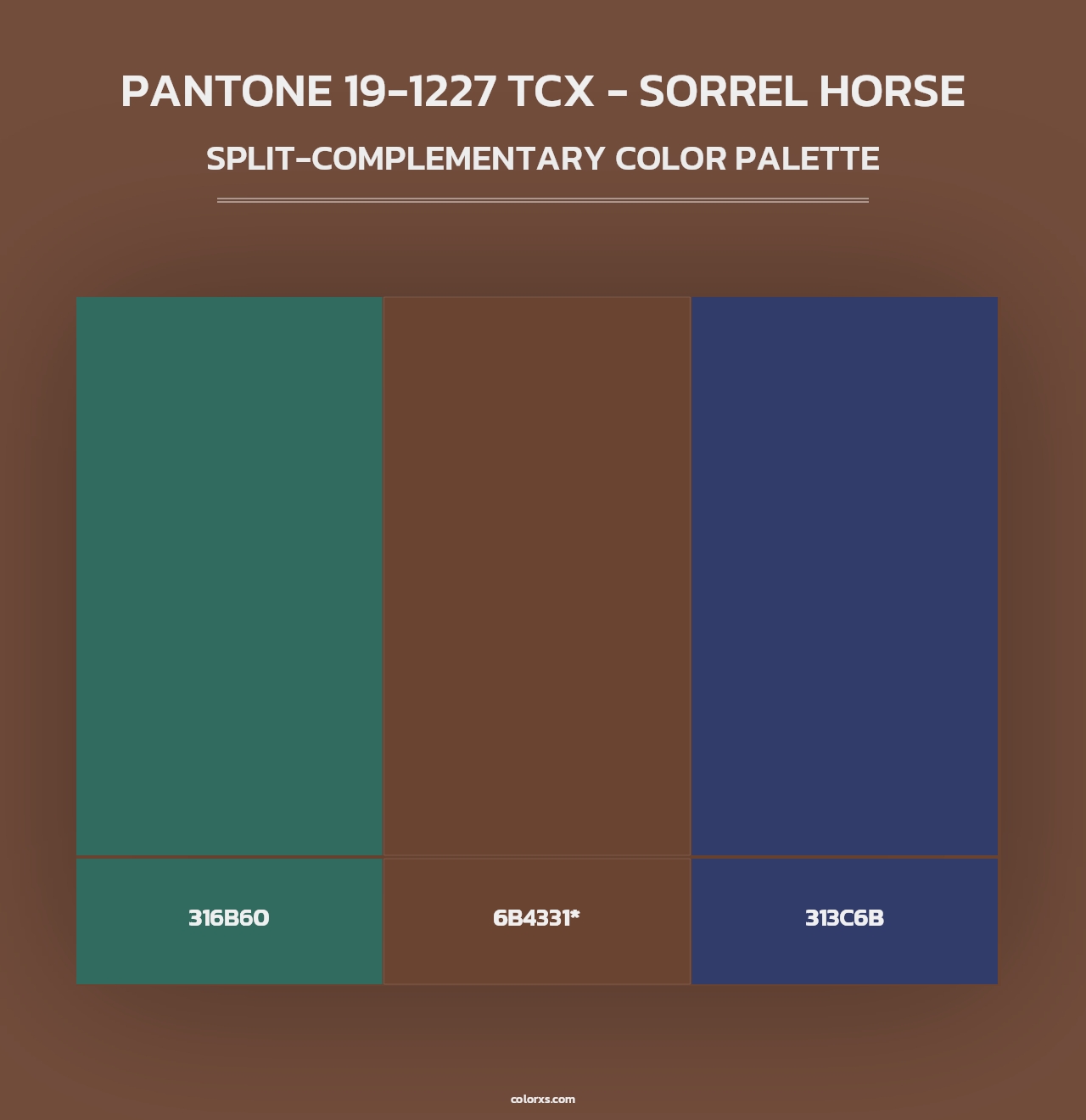 PANTONE 19-1227 TCX - Sorrel Horse - Split-Complementary Color Palette