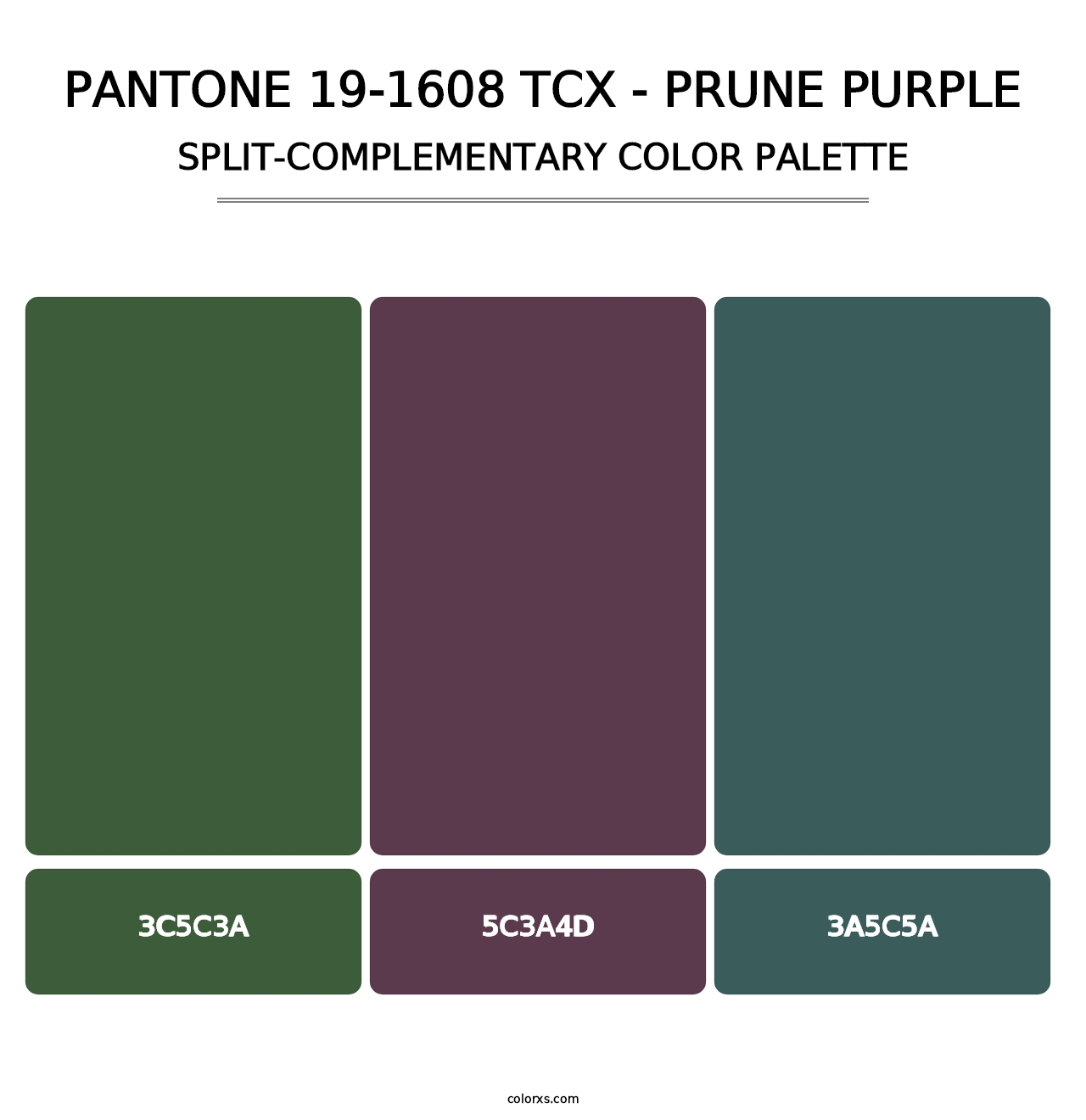 PANTONE 19-1608 TCX - Prune Purple - Split-Complementary Color Palette