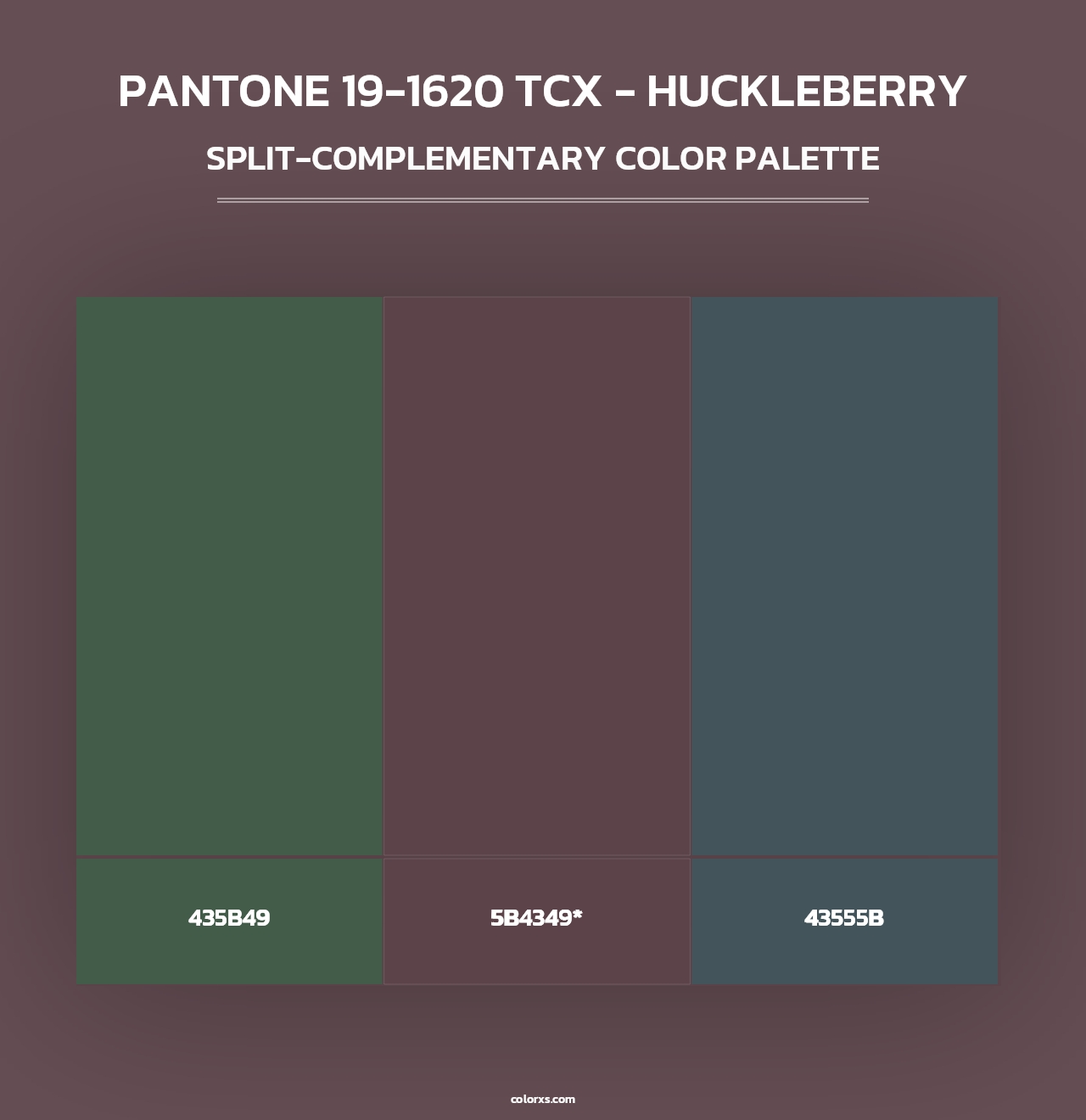PANTONE 19-1620 TCX - Huckleberry - Split-Complementary Color Palette