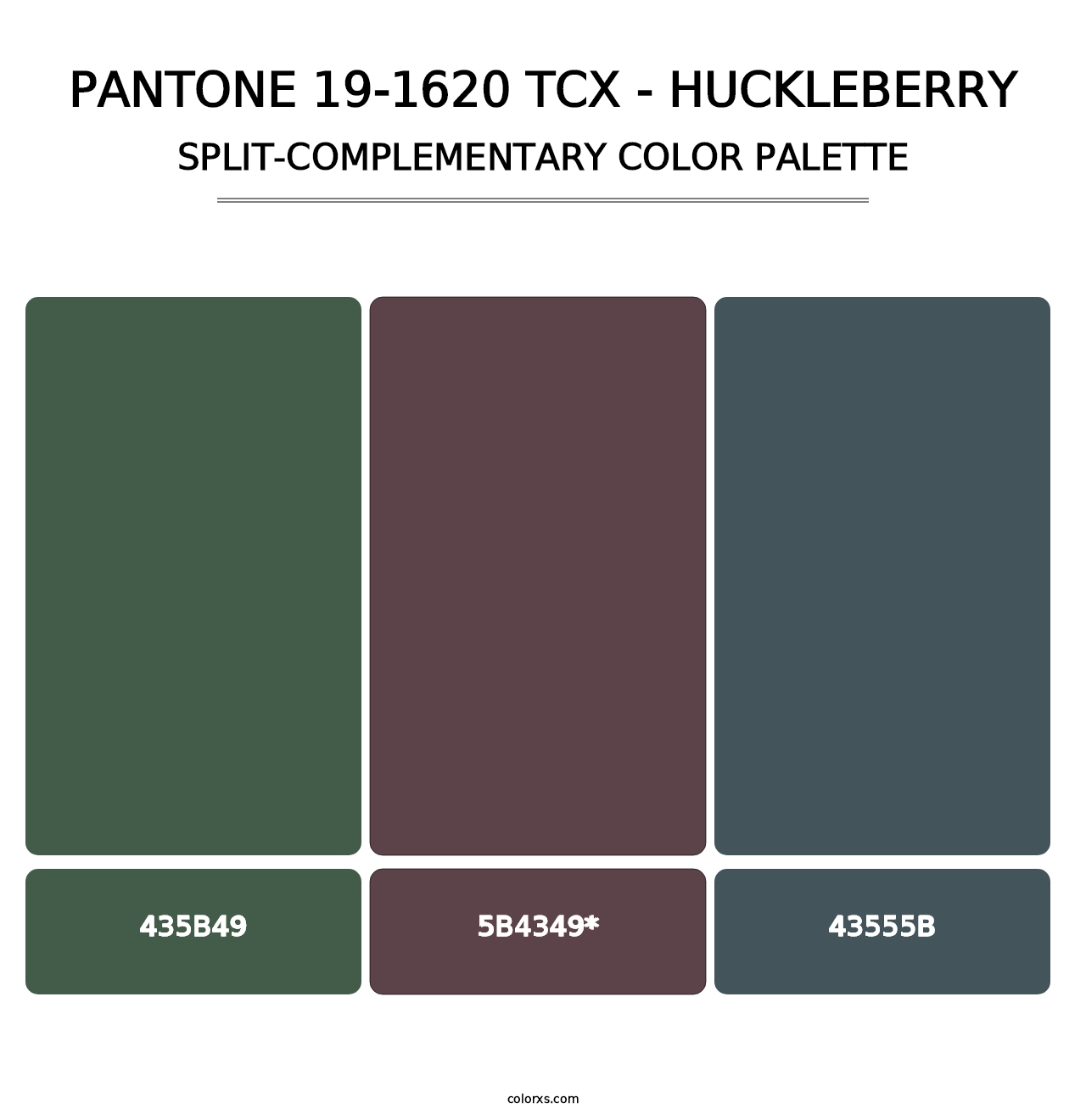 PANTONE 19-1620 TCX - Huckleberry - Split-Complementary Color Palette