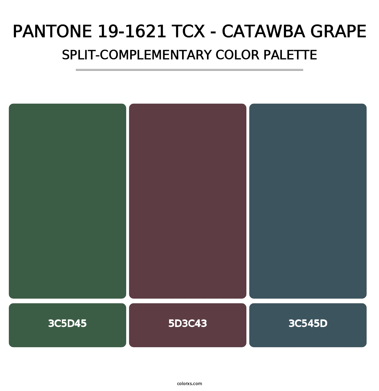 PANTONE 19-1621 TCX - Catawba Grape - Split-Complementary Color Palette