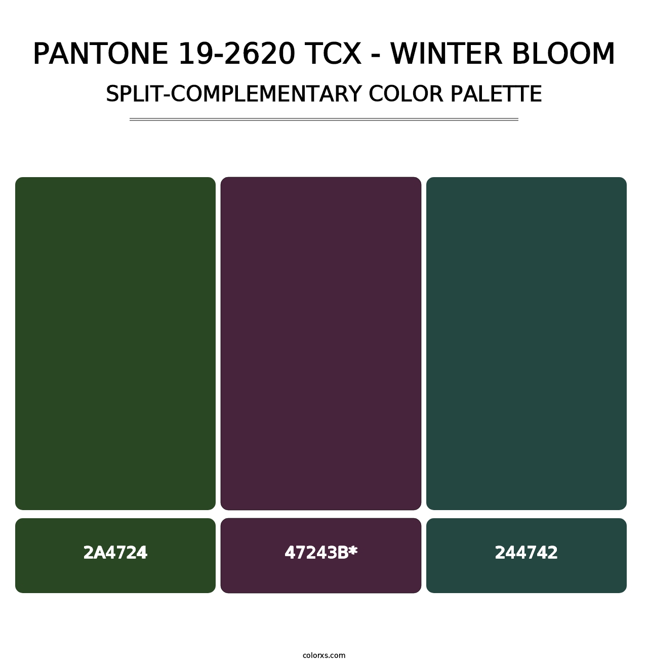 PANTONE 19-2620 TCX - Winter Bloom - Split-Complementary Color Palette