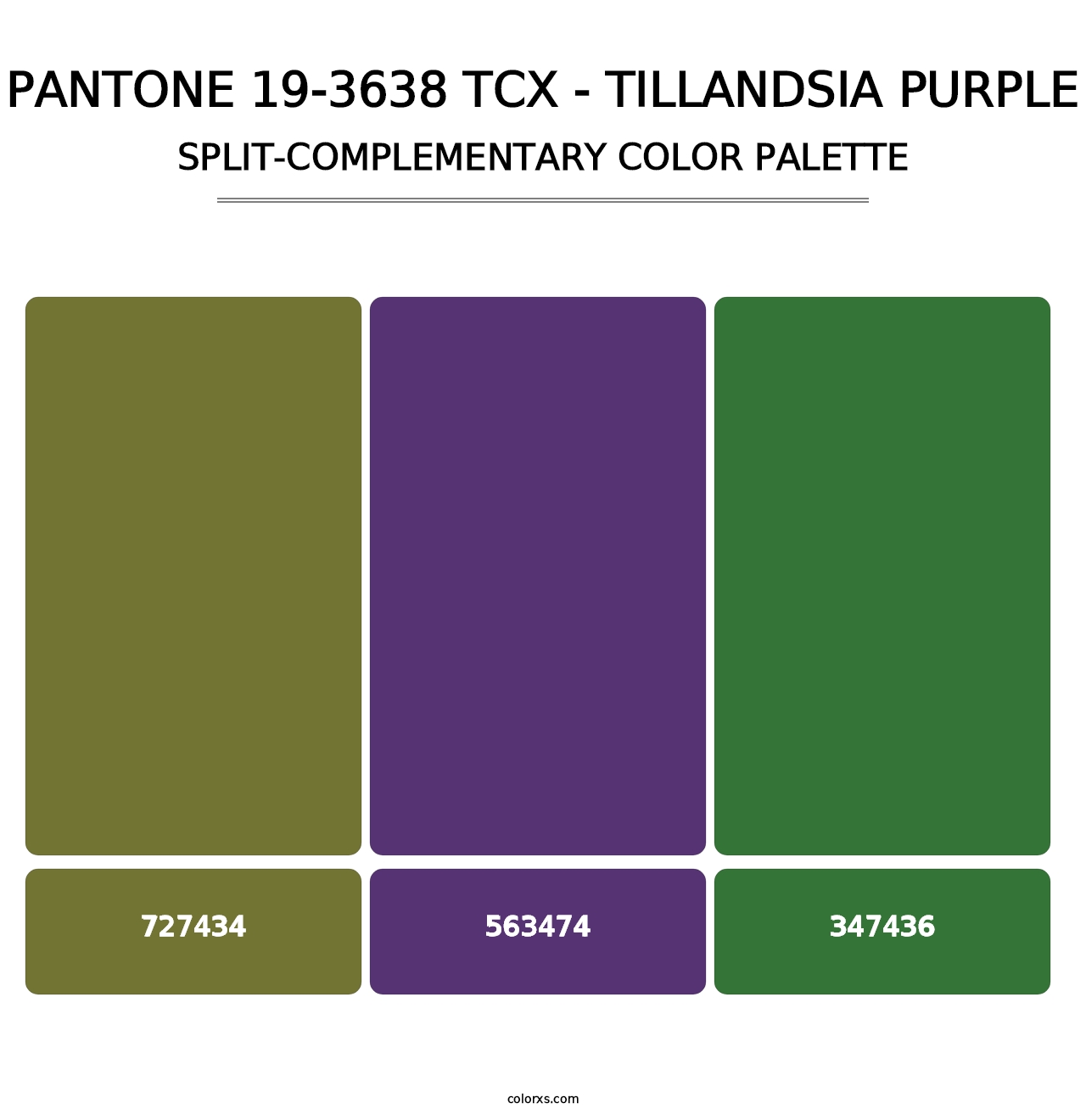 PANTONE 19-3638 TCX - Tillandsia Purple - Split-Complementary Color Palette