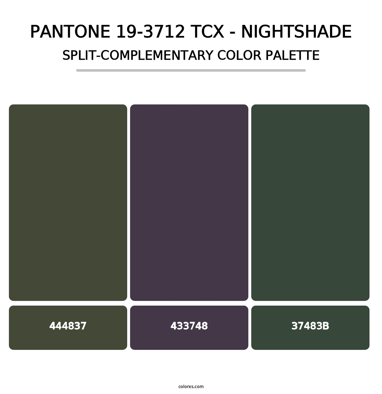 PANTONE 19-3712 TCX - Nightshade - Split-Complementary Color Palette