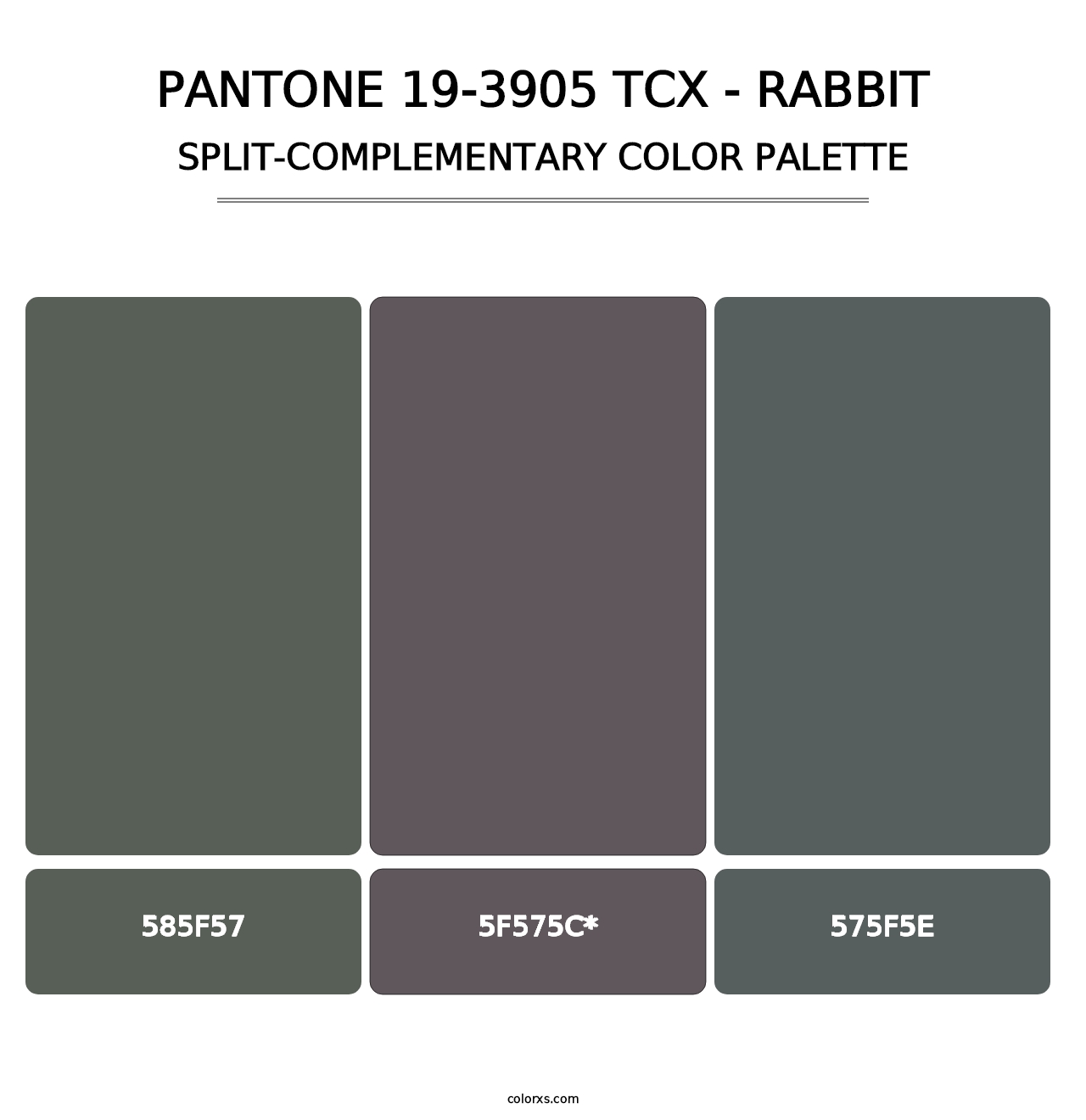 PANTONE 19-3905 TCX - Rabbit - Split-Complementary Color Palette