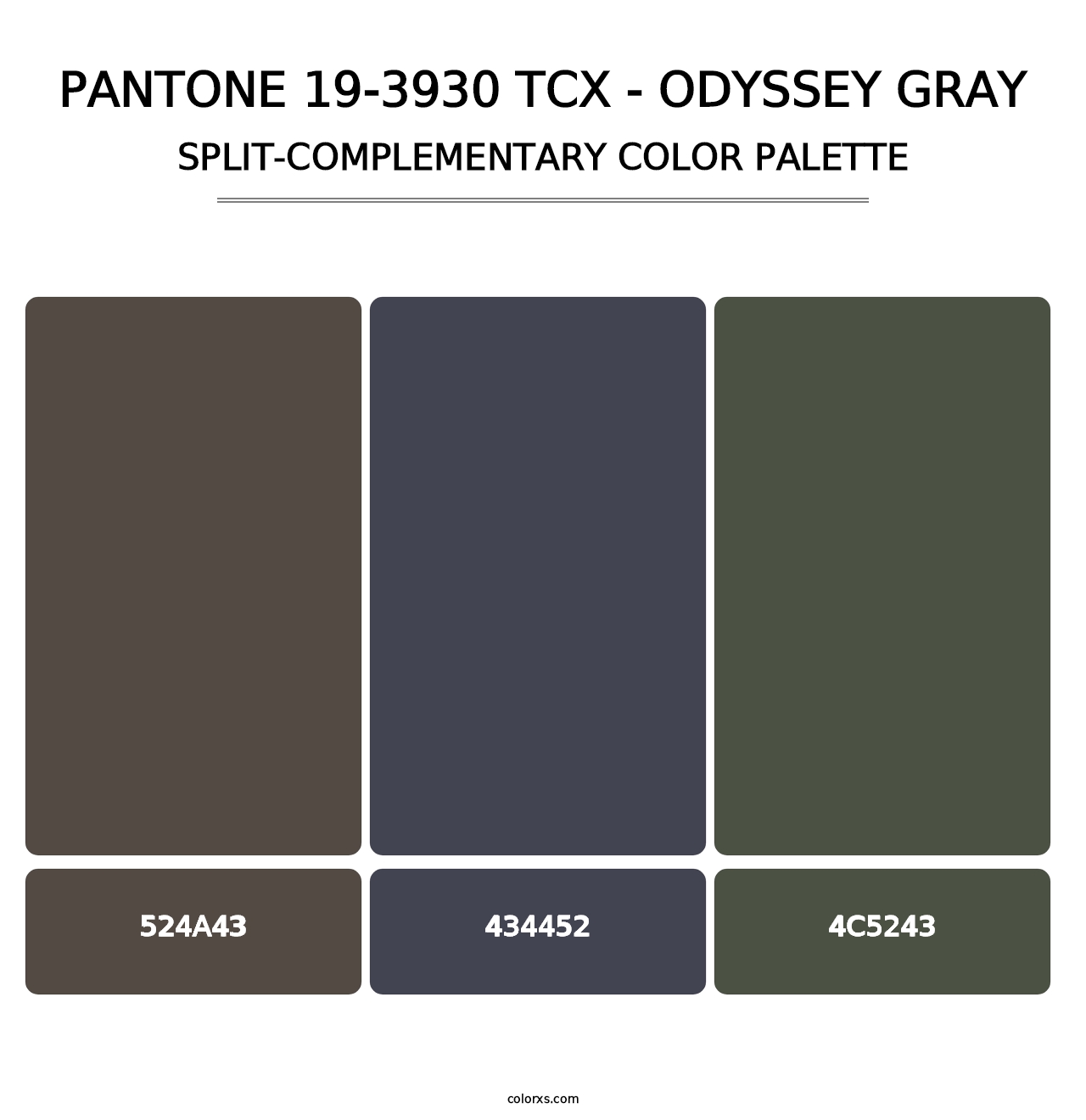 PANTONE 19-3930 TCX - Odyssey Gray - Split-Complementary Color Palette