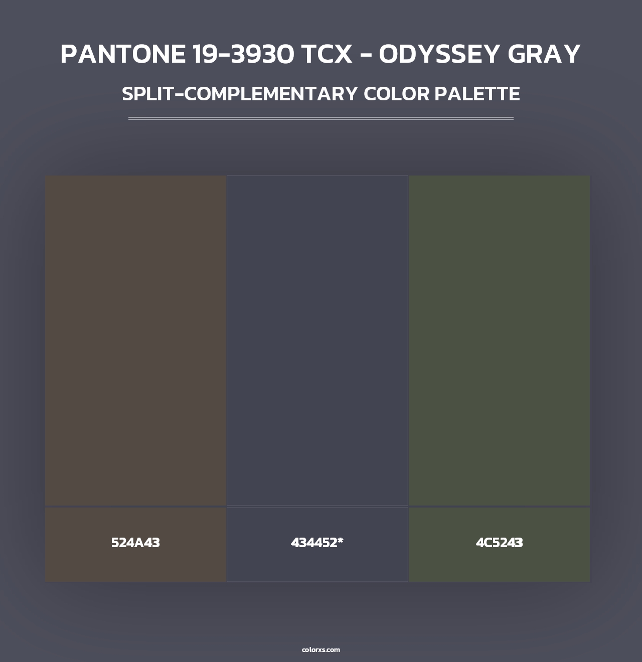 PANTONE 19-3930 TCX - Odyssey Gray - Split-Complementary Color Palette