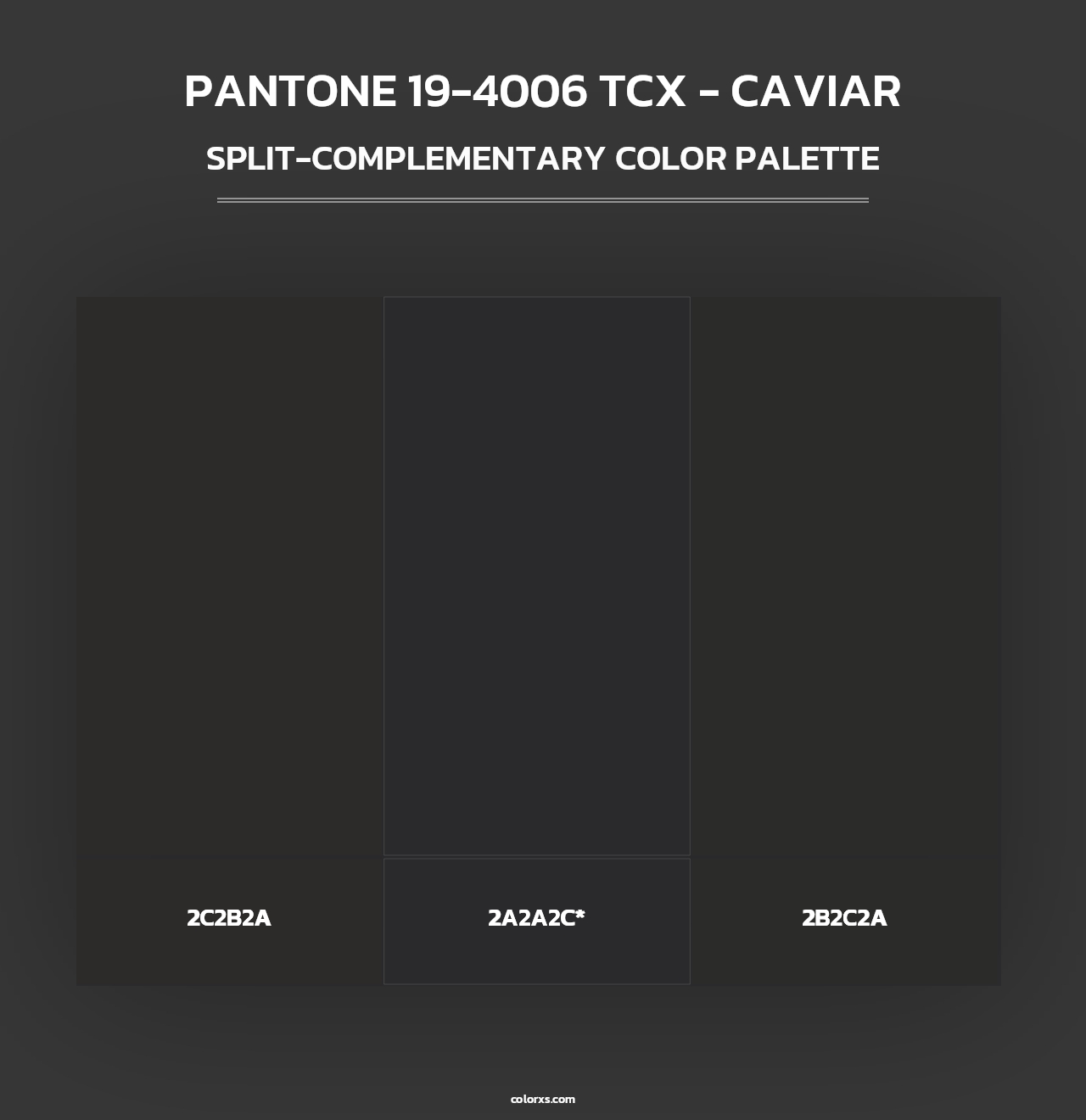 PANTONE 19-4006 TCX - Caviar - Split-Complementary Color Palette