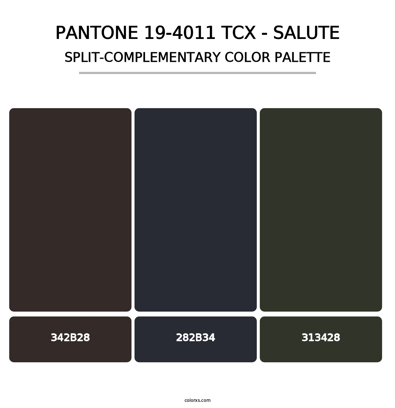PANTONE 19-4011 TCX - Salute - Split-Complementary Color Palette