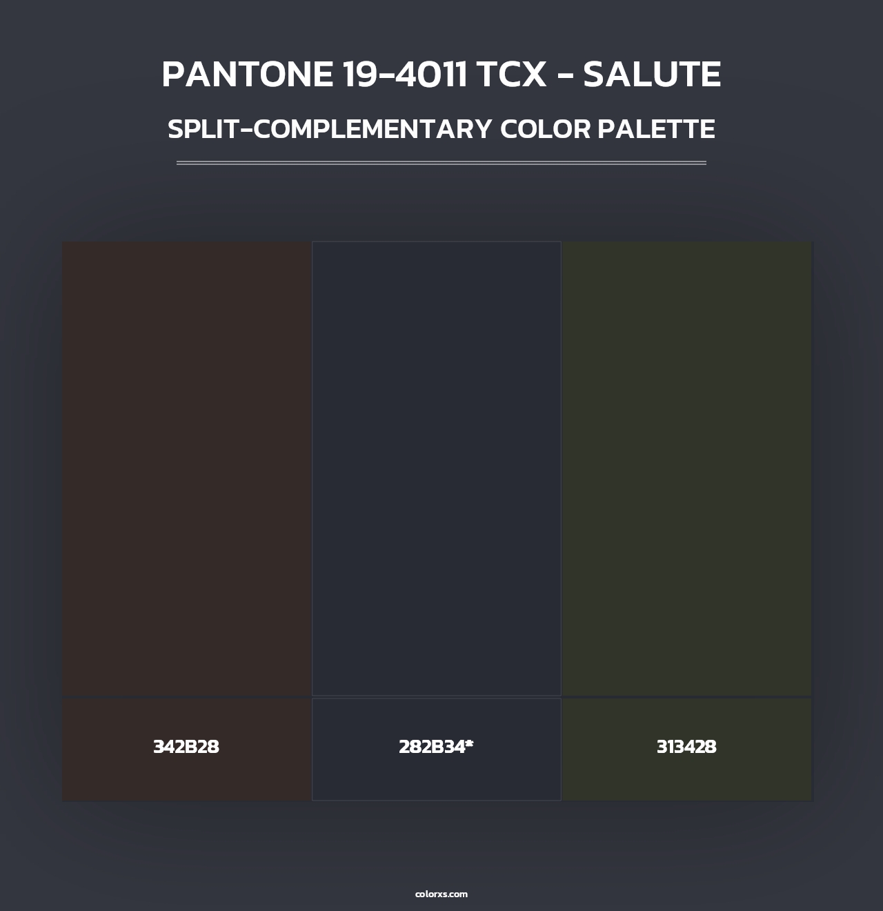 PANTONE 19-4011 TCX - Salute - Split-Complementary Color Palette