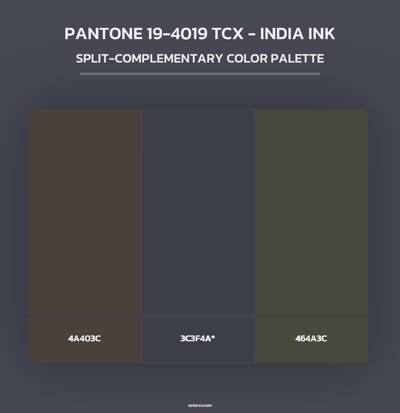 PANTONE 19-4019 TCX - India Ink - Split-Complementary Color Palette