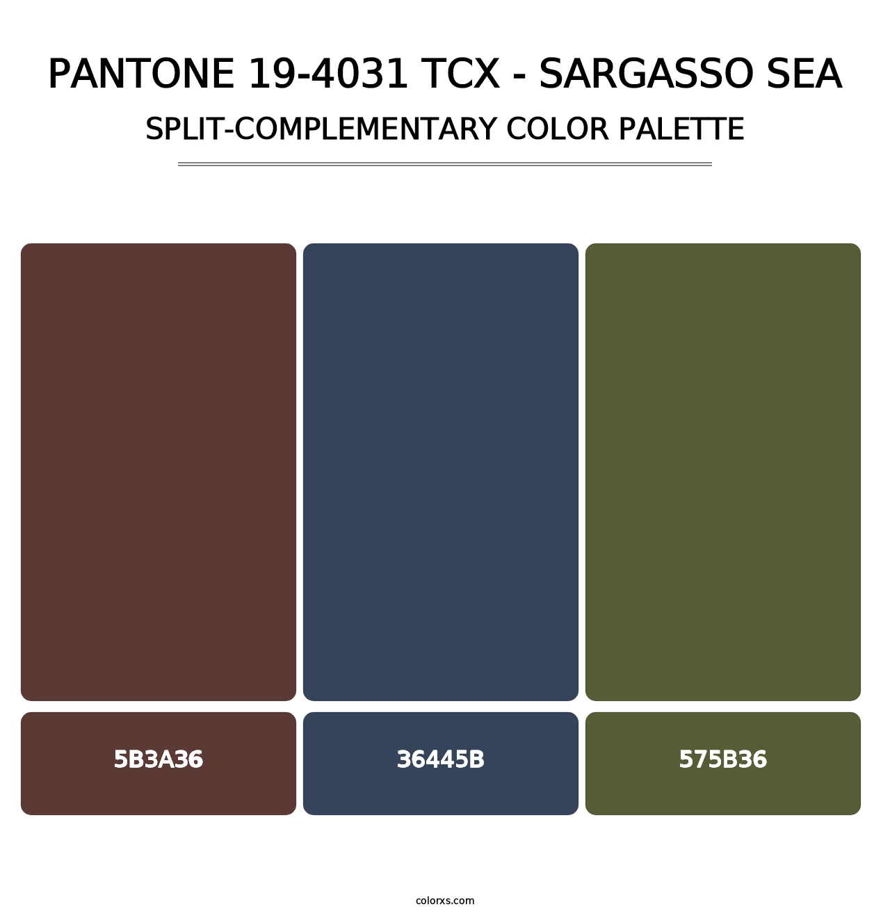 PANTONE 19-4031 TCX - Sargasso Sea - Split-Complementary Color Palette