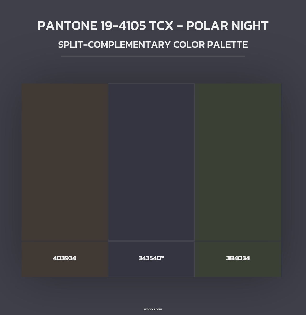 PANTONE 19-4105 TCX - Polar Night - Split-Complementary Color Palette