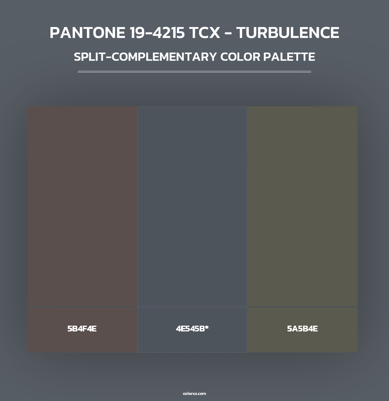 PANTONE 19-4215 TCX - Turbulence - Split-Complementary Color Palette